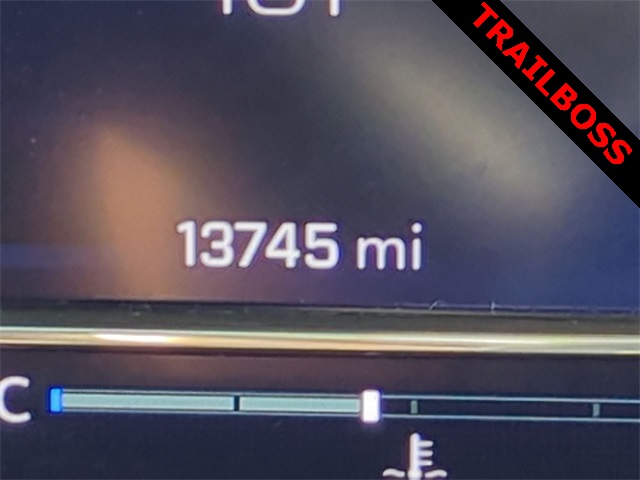 2024 Chevrolet Silverado 1500 LT Trail Boss for sale at PATRIOT CHEVROLET OF LIMERICK