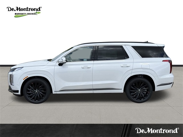 2025 Hyundai Palisade Calligraphy Night Edition - 7