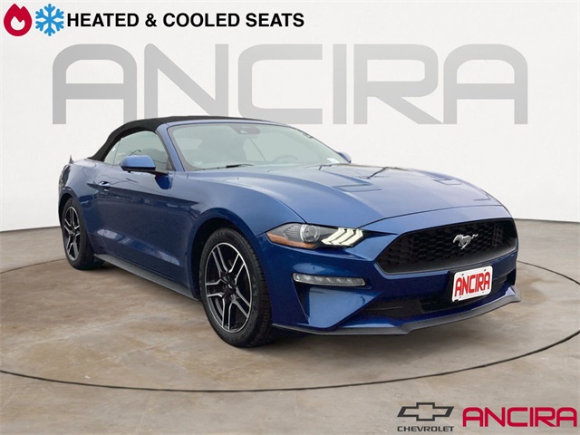 Used Car 2023 Ford Mustang  Ecoboost Premium For Sale Under $25,000 In San Antonio, Texas