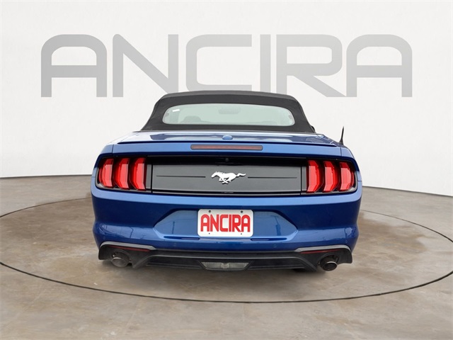 Used Car 2023 Ford Mustang  Ecoboost Premium For Sale Under $25,000 In San Antonio, Texas