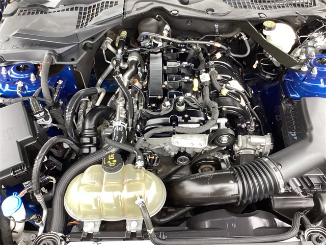 Used Car 2023 Ford Mustang  Ecoboost Premium For Sale Under $25,000 In San Antonio, Texas