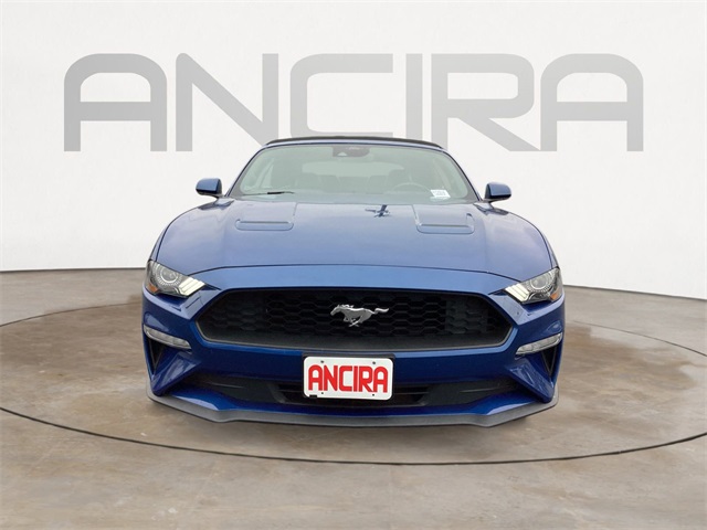 Used Car 2023 Ford Mustang  Ecoboost Premium For Sale Under $25,000 In San Antonio, Texas