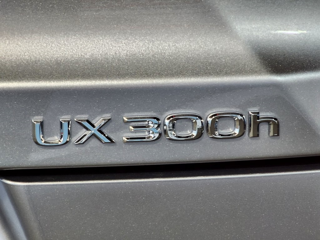 Thumbnail: 2025 Lexus UX - 11