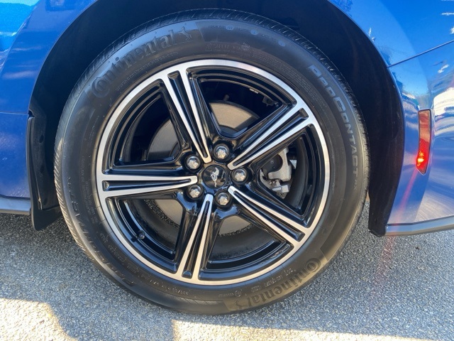 Used Car 2024 Ford Mustang  Ecoboost For Sale Under $35,000 In San Antonio, Texas