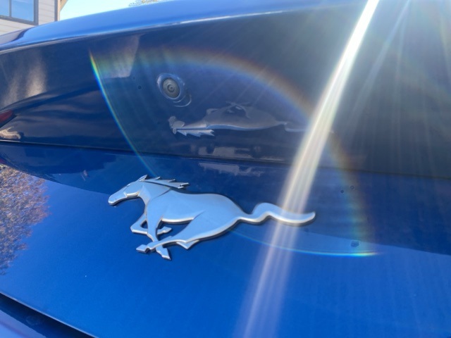 Used Car 2024 Ford Mustang  Ecoboost For Sale Under $35,000 In San Antonio, Texas