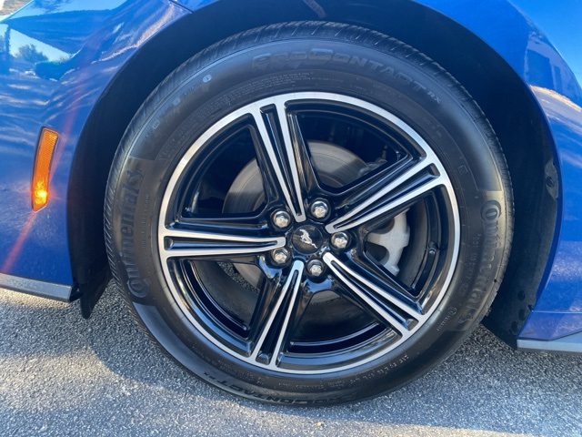 Used Car 2024 Ford Mustang  Ecoboost For Sale Under $35,000 In San Antonio, Texas