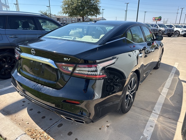 2023 Nissan Maxima SV photo 3