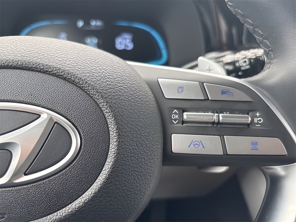 2025 Hyundai Palisade SEL photo 22