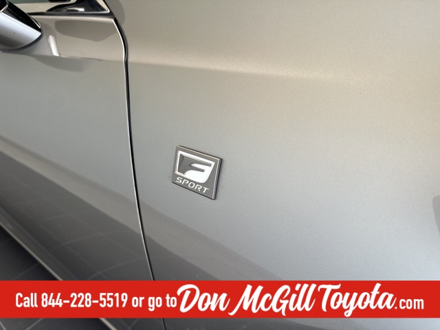 2020 Lexus ES 350 F Sport Silver at Emmons Autoplex