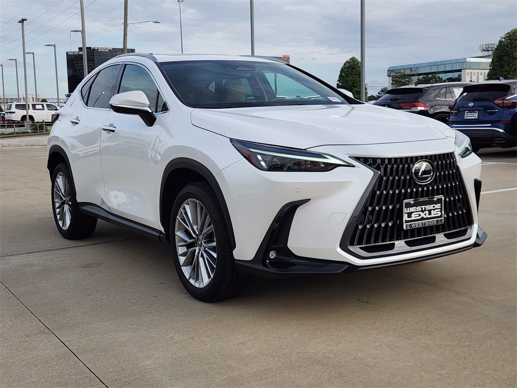 2025 Lexus NX 350 Premium White at Westside Lexus