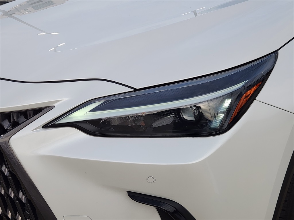 2025 Lexus NX 350 Premium White at Westside Lexus