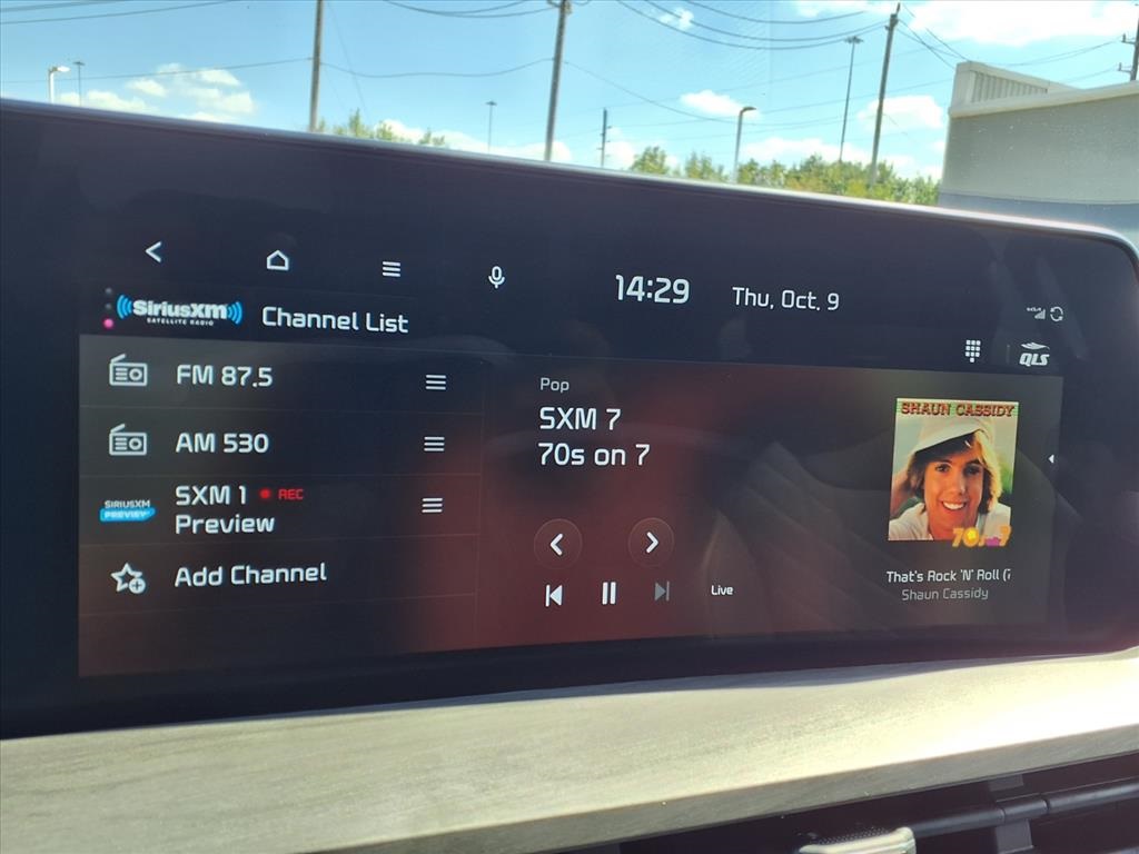 2024 Kia Telluride SX X-Pro Gray at Parkway Family Mazda