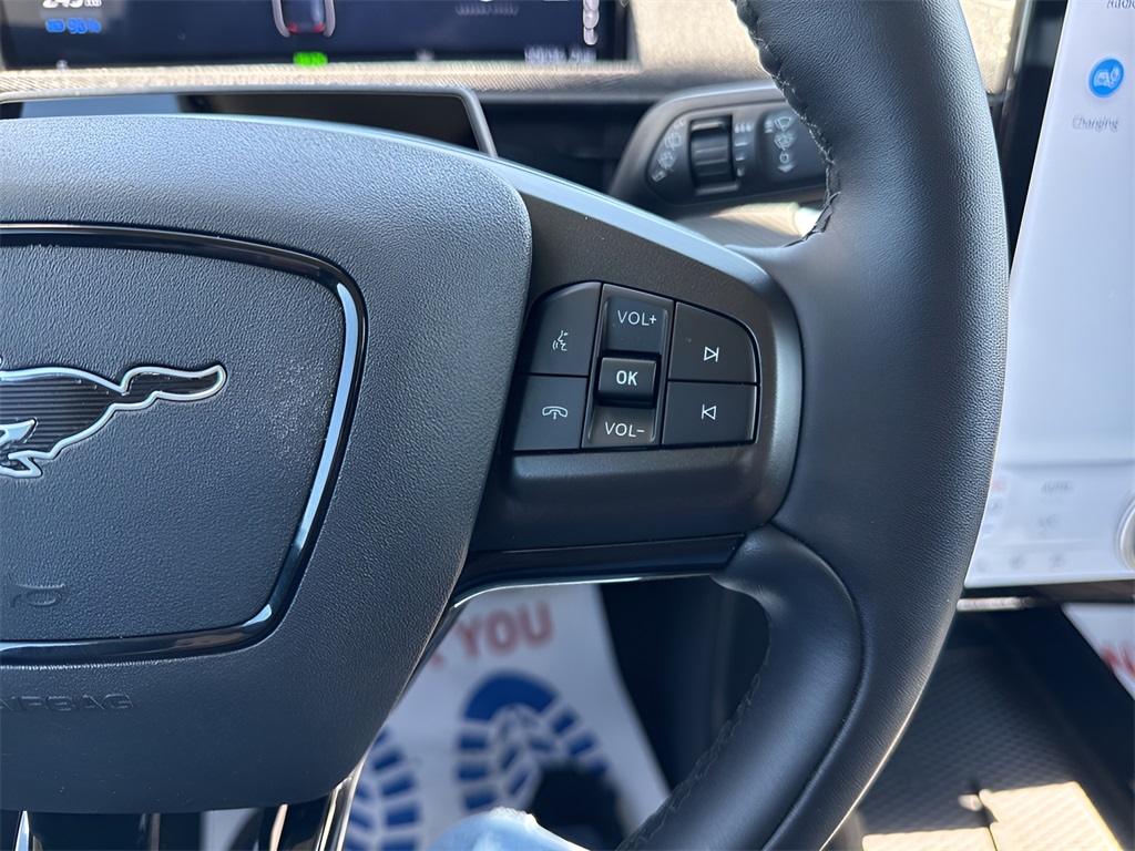 2024 Ford Mustang Mach-E