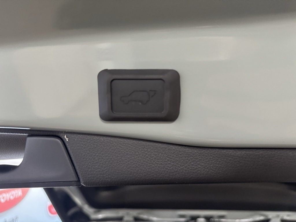Thumbnail: 2025 Toyota RAV4 - 25