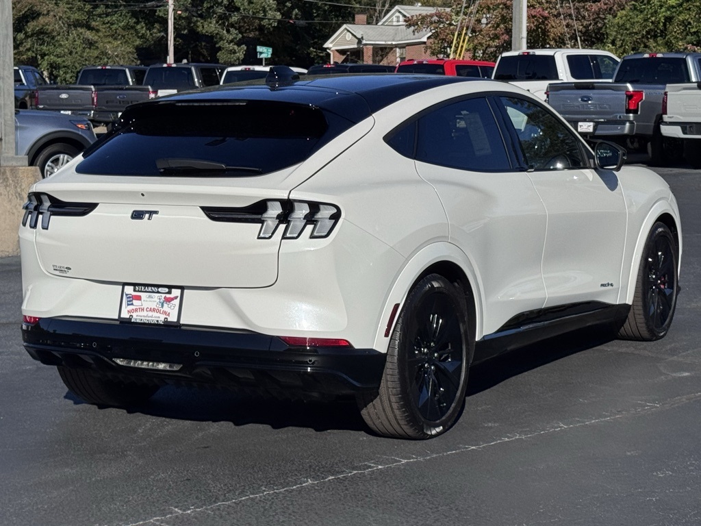 FordMustang Mach-E18