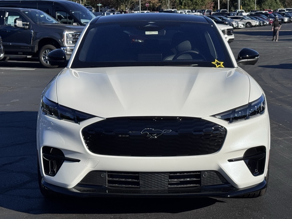 FordMustang Mach-E19