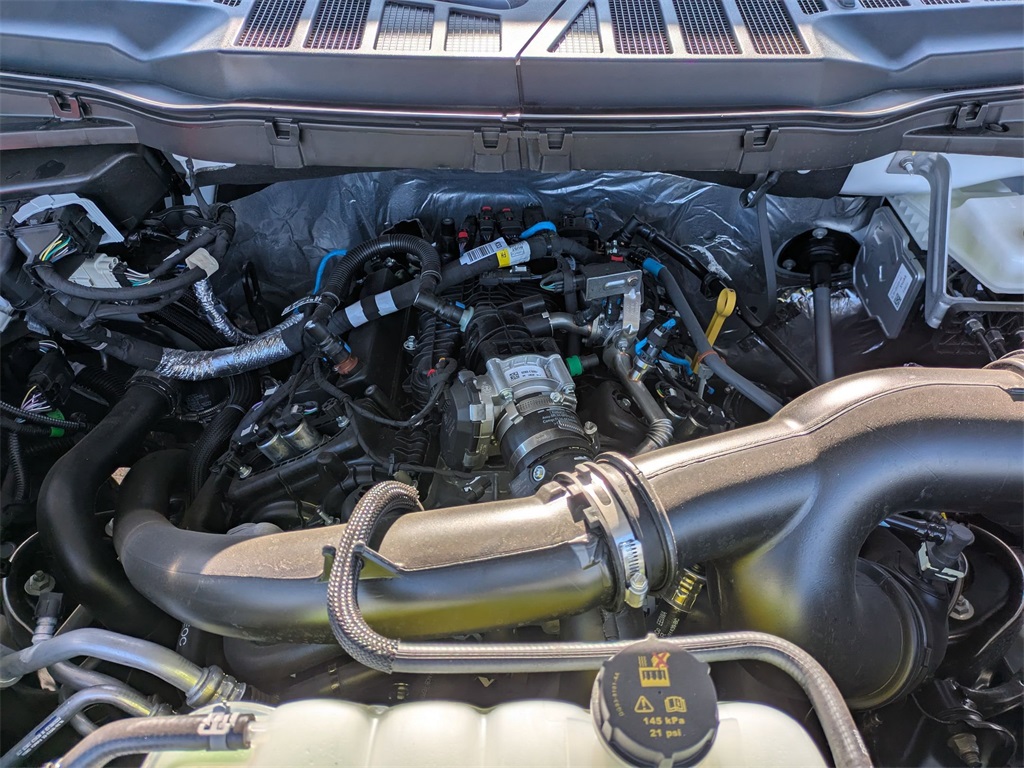 New 2025 Ford F-150 For Sale in Findlay, OH
