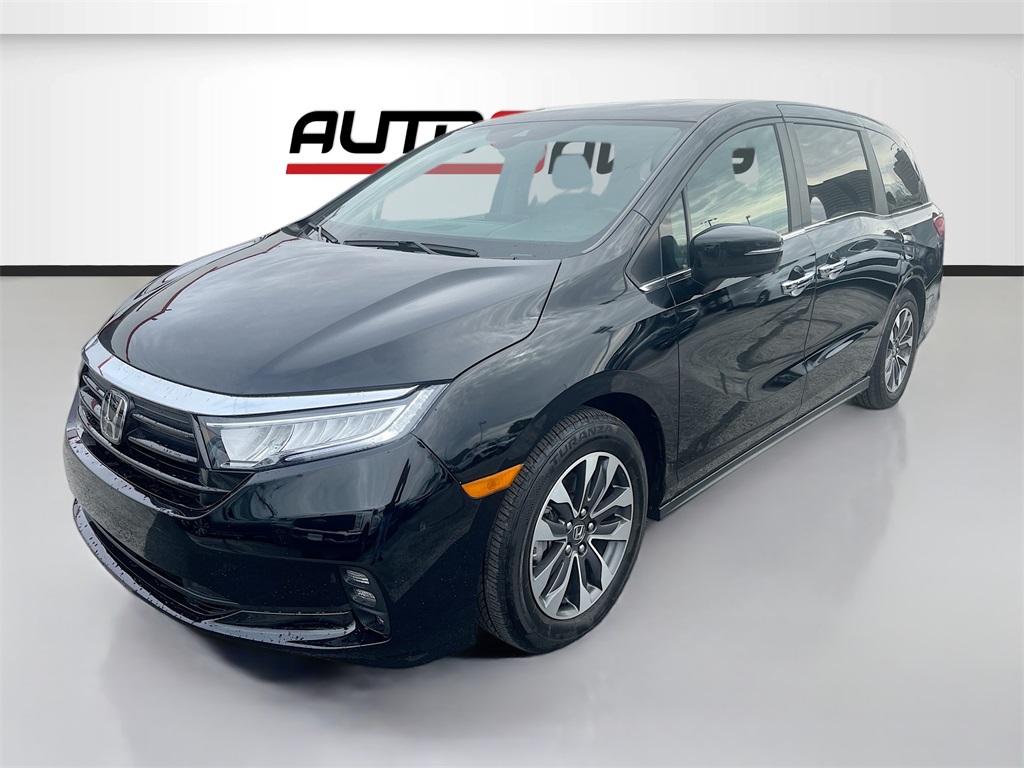 2024 Honda Odyssey EX-L Blue at Emmons Autoplex