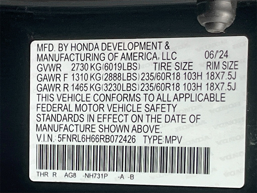 2024 Honda Odyssey EX-L Blue at Emmons Autoplex