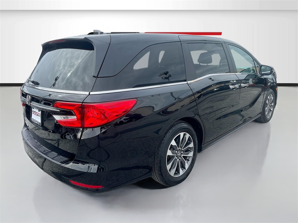 2024 Honda Odyssey EX-L Blue at Emmons Autoplex