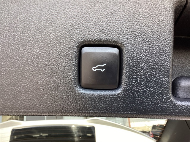 Used Car 2024 Ford Escape  St-line For Sale Under $25,000 In San Antonio, Texas