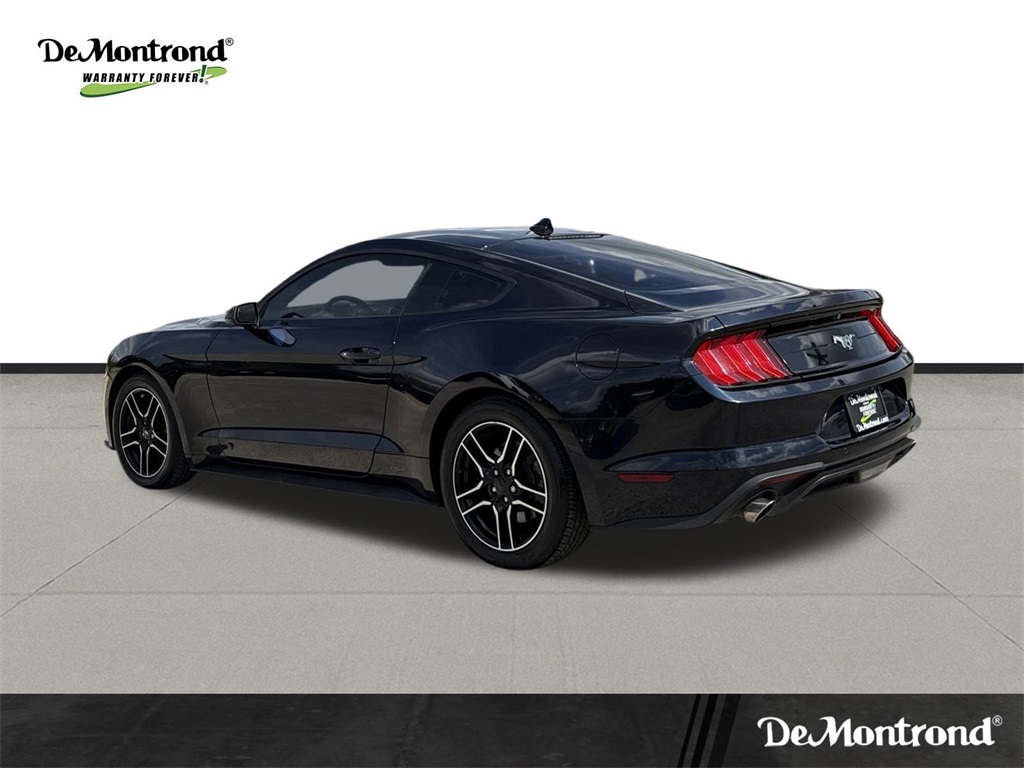 2021 Ford Mustang EcoBoost Blue at Wharton Ford