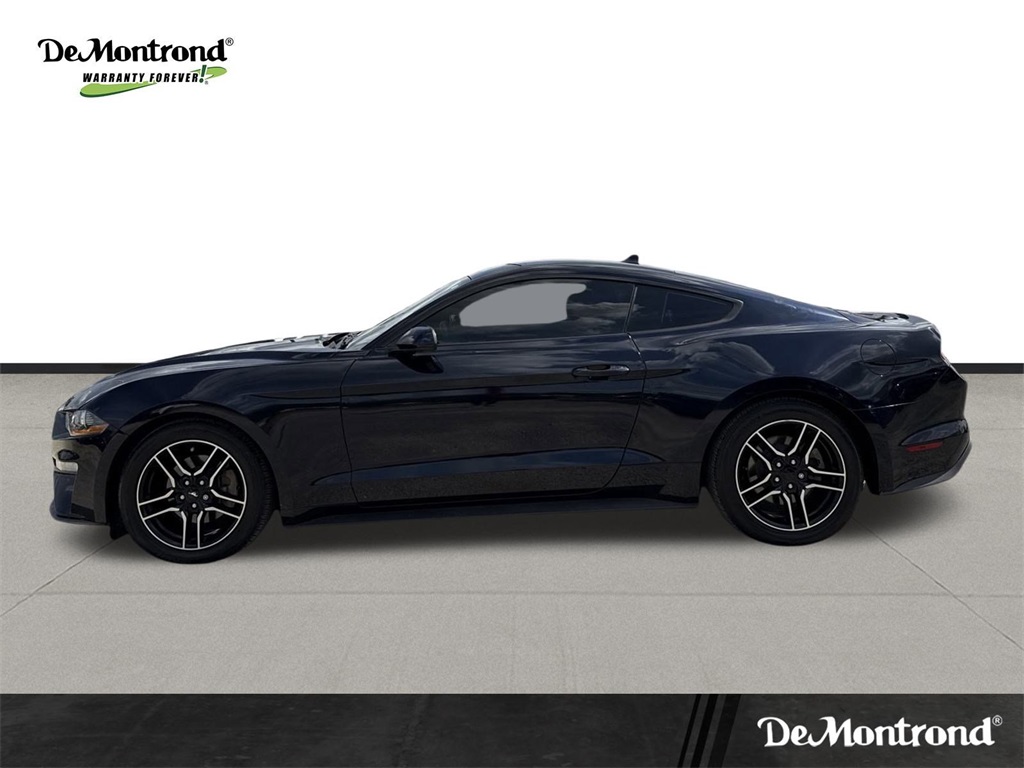 2021 Ford Mustang EcoBoost Blue at Wharton Ford