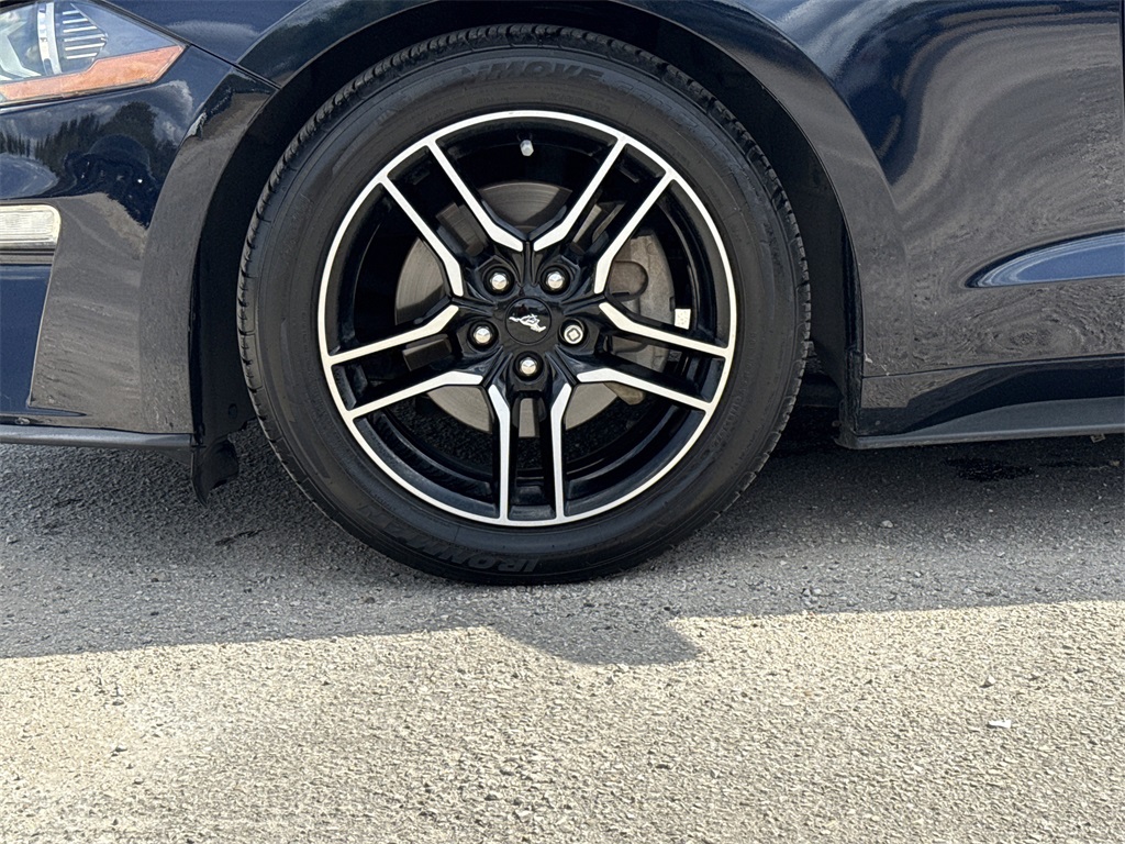 2021 Ford Mustang EcoBoost Blue at Wharton Ford