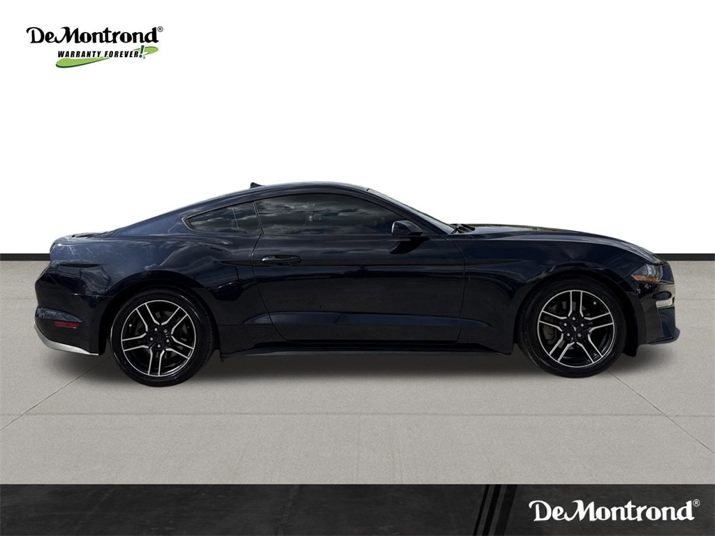 2021 Ford Mustang EcoBoost Blue at Wharton Ford