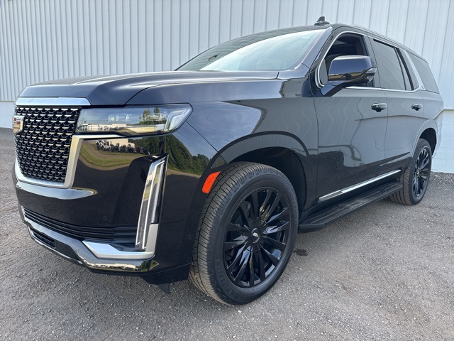 Used 2022 Cadillac Escalade For Sale in Jackson, MI