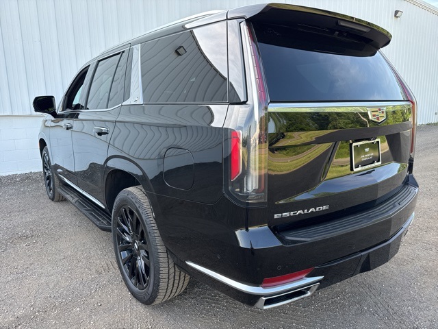 Used 2022 Cadillac Escalade For Sale in Jackson, MI