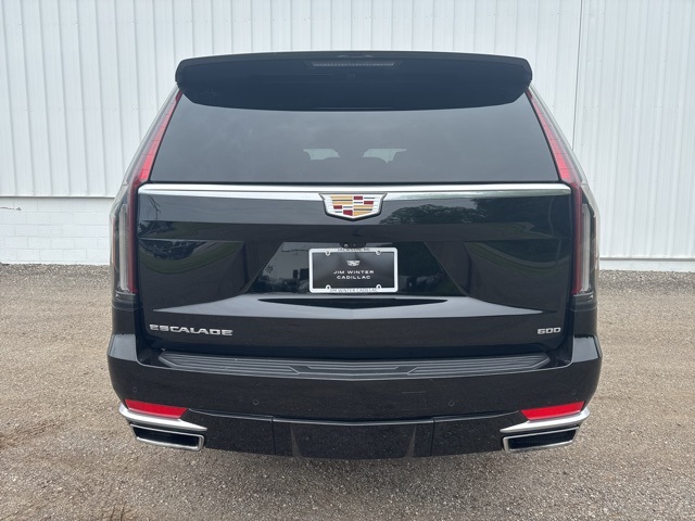 Used 2022 Cadillac Escalade For Sale in Jackson, MI