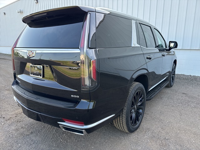 Used 2022 Cadillac Escalade For Sale in Jackson, MI
