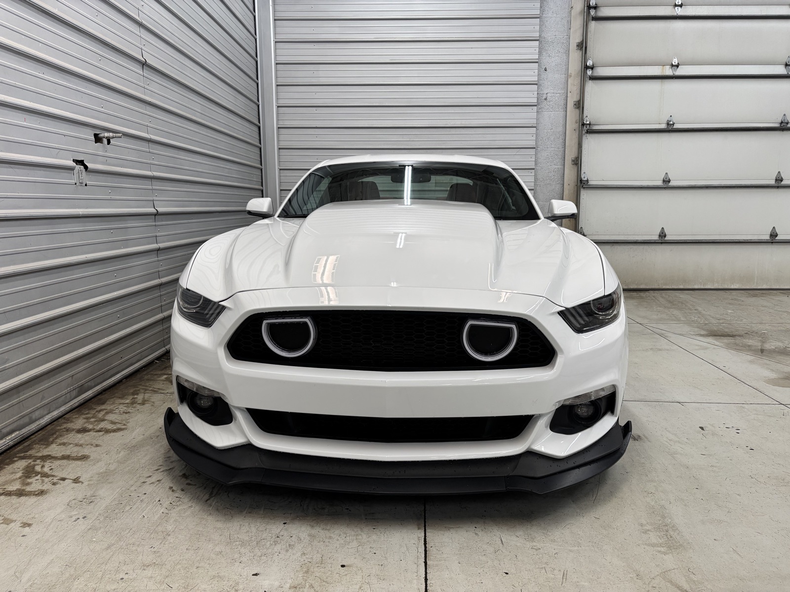 2015 Ford Mustang GT Premium photo 2