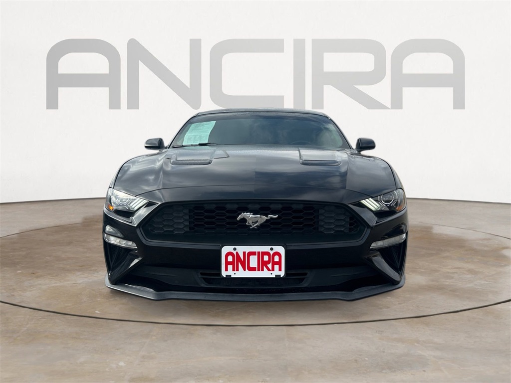 Used Car 2018 Ford Mustang  Ecoboost For Sale Under $20,000 In Floresville, Texas