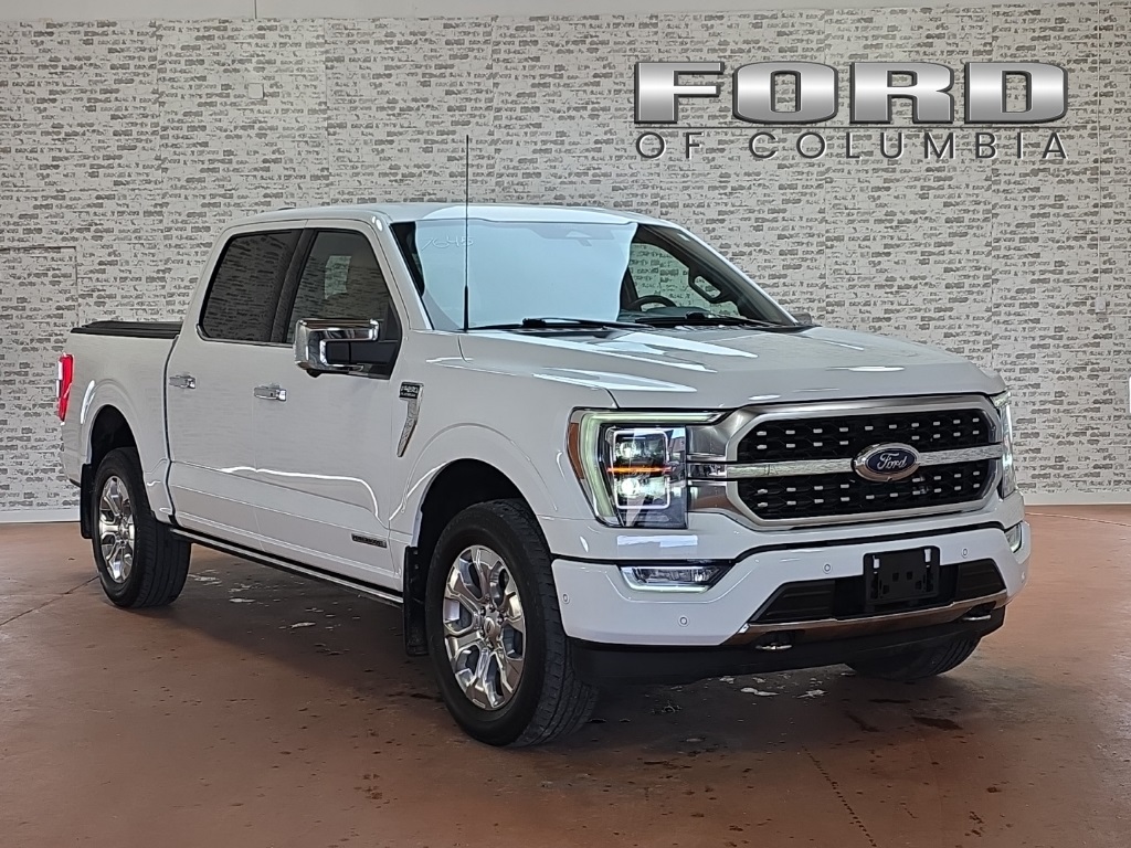 2022 Ford F-150 Platinum SuperCrew 4WD