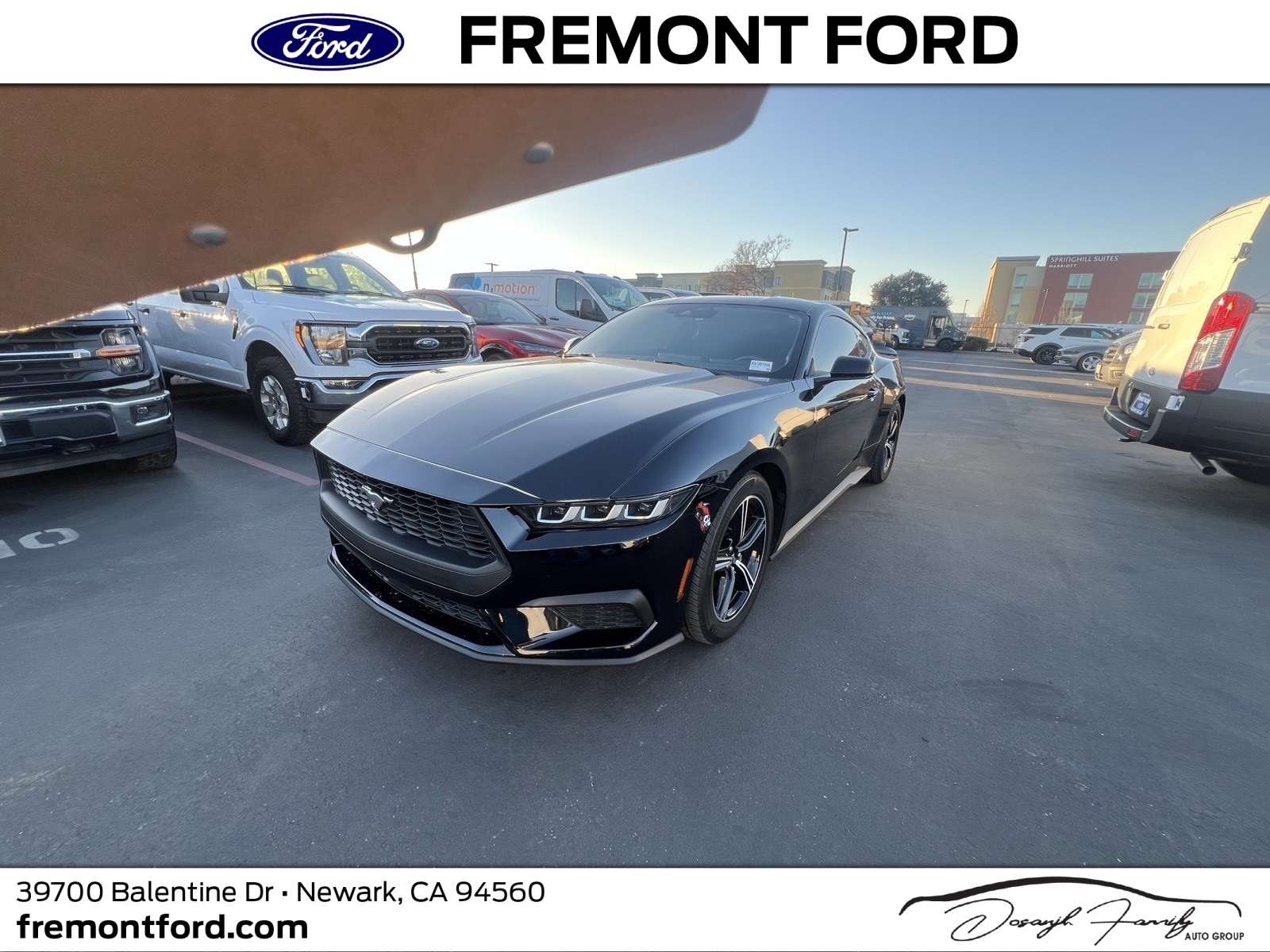 2024 Ford Mustang EcoBoost Fastback RWD