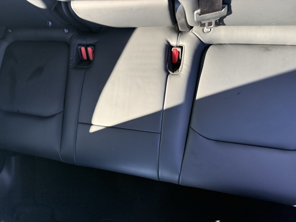 2025 Tesla Model Y Long Range  at Classic Elite Chevrolet Sugar Land