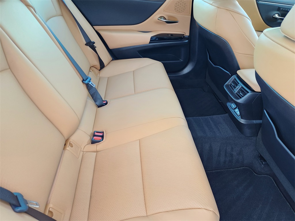 2024 Lexus ES 250 White at Westside Lexus