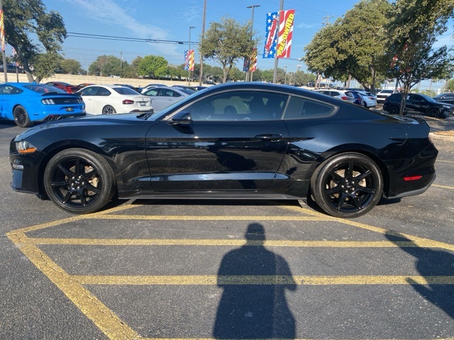 Used Car 2019 Ford Mustang  Ecoboost For Sale Under $20,000 In San Antonio, Texas