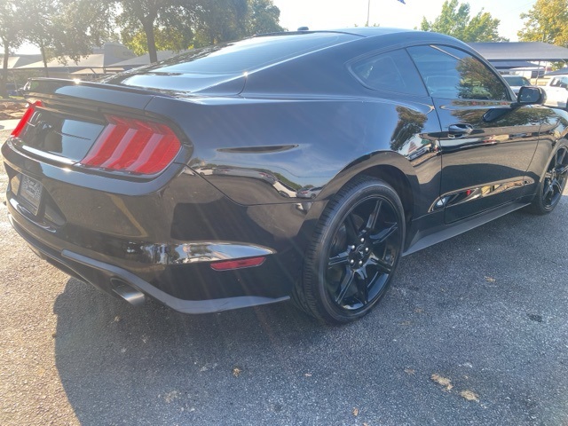 Used Car 2019 Ford Mustang  Ecoboost For Sale Under $20,000 In San Antonio, Texas