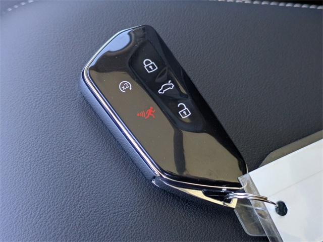 2026 Volkswagen Tiguan 2.0T SE Gray at Stokes Volkswagen