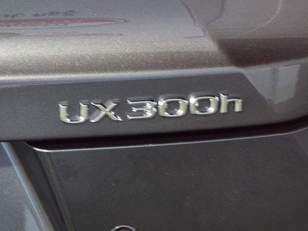 Thumbnail: 2025 Lexus UX - 11