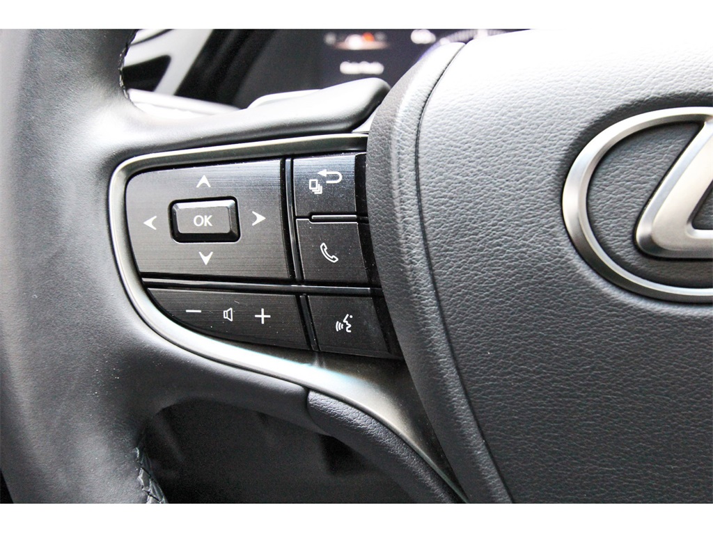 2022 Lexus ES 350 Gray at DeMontrond Ford