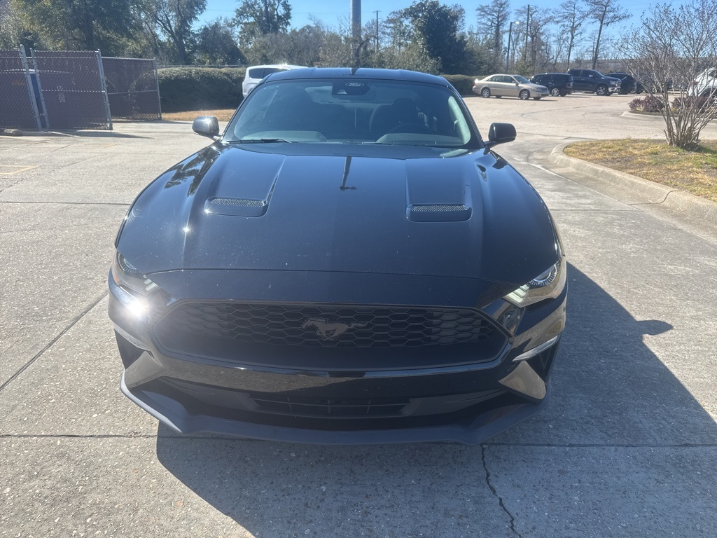 2023 Ford Mustang EcoBoost Fastback RWD