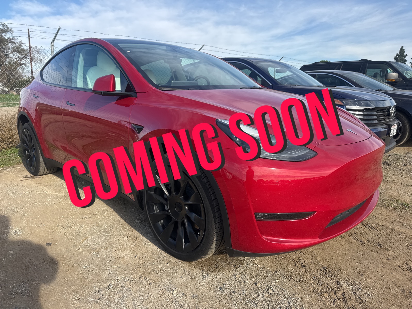 2023 Tesla Model Y Long Range's photo