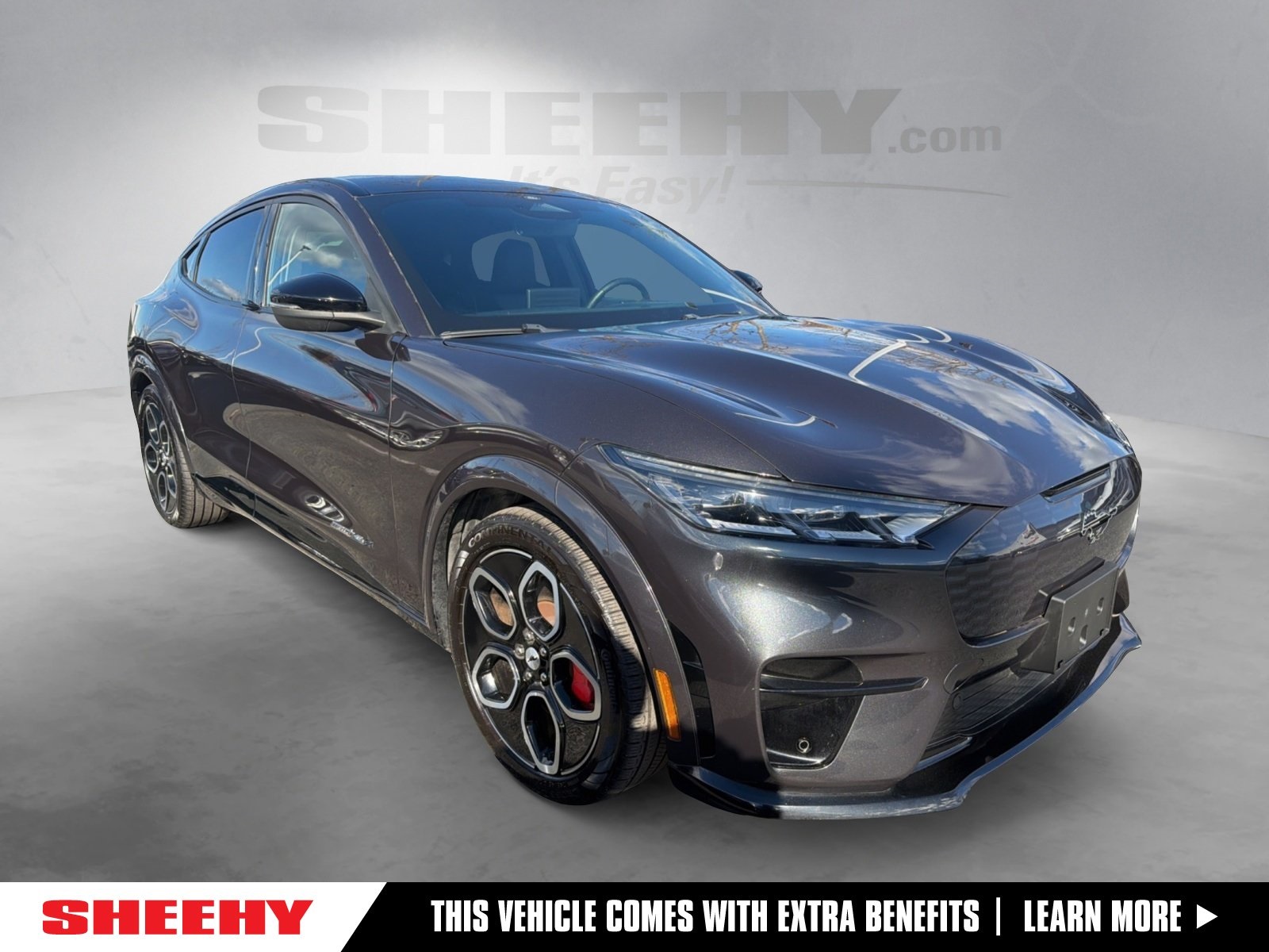 2021 Ford Mustang Mach-E GT AWD's photo