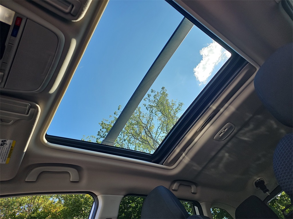 View 31
