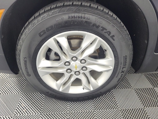Image-7