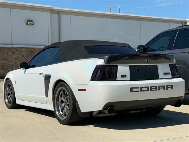 2003 Ford Mustang Cobra photo 6